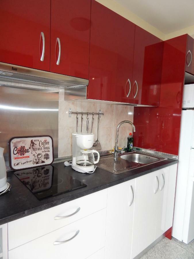 Apartamento Monis Natura Icod De Los Vinos Exterior photo